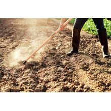 Enxada Estreita Canavieira 2.5 Tramontina Aço Cabo Madeira 145cm Tramontina