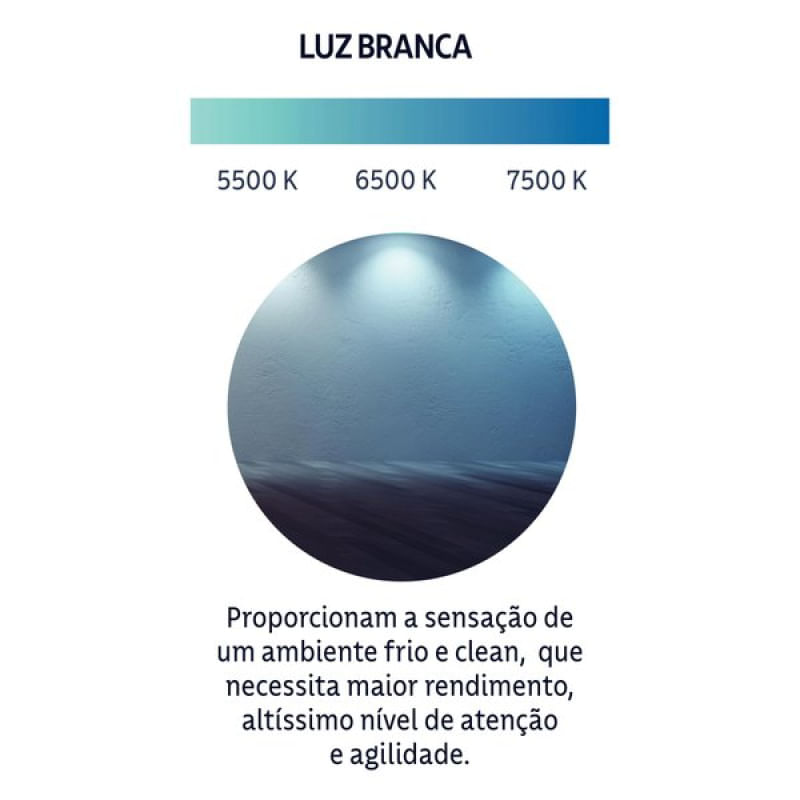 17480041432392