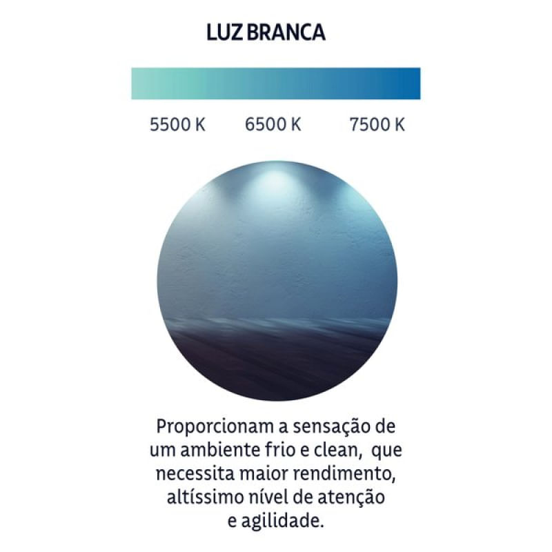 17480040492435