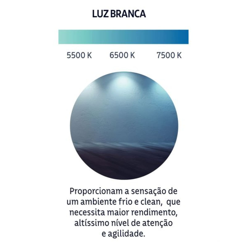 17480003934513