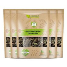 Kit Chá de Tanchagem - Plantago major - 5 Unidades