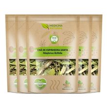 Kit Chá de Espinheira Santa - Maytenus ilicifolia - 5 Unidades