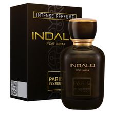 Perfume Indalo Paris Elysees Masculino 100ml