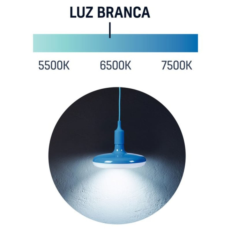 17480000749160