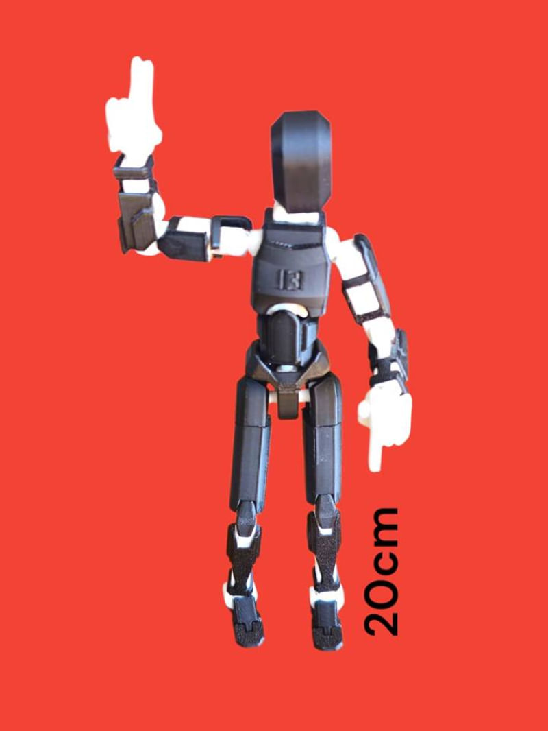 17506025719131