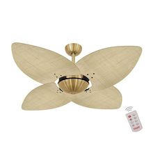 Ventilador De Teto Dourado 4 Pás Palmae Natural 220V