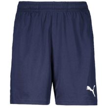 Calção Masculino Puma TeamRise