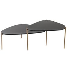 Kit 02 Mesas de Centro Para Sala de Estar Pés Metálicos Adek A03 Nero Dourado - Lyam Decor