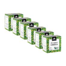 Kit 6X: Chá de Carqueja Orgânico Kampo de Ervas 10 sachês