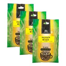 Kit 3X: Chá de Dente de Leão Kampo de Ervas 30g