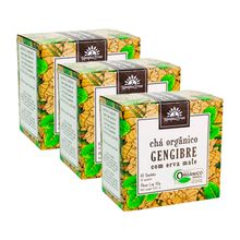 Kit 3X: Chá de Gengibre/Mate Orgânico Kampo de Ervas 10 sach