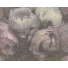 Papel De Parede New Walls 373921 Rolo 10m X 0,53m