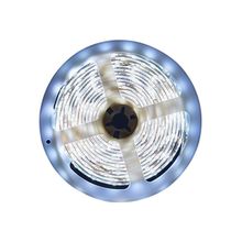 Fita Led Interna 4,8w/m Branco 6500k
