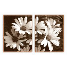 Kit Com 2 Quadros Decorativos Florais Com Moldura Para Sala Quarto Escritório 72x922 Floral 011