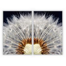 Kit Com 2 Quadros Decorativos Florais Com Moldura Para Sala Quarto Escritório 82x122 Floral 002