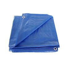 Lona Azul com Ilhós 2x2m 150 Micras - DTOOLS