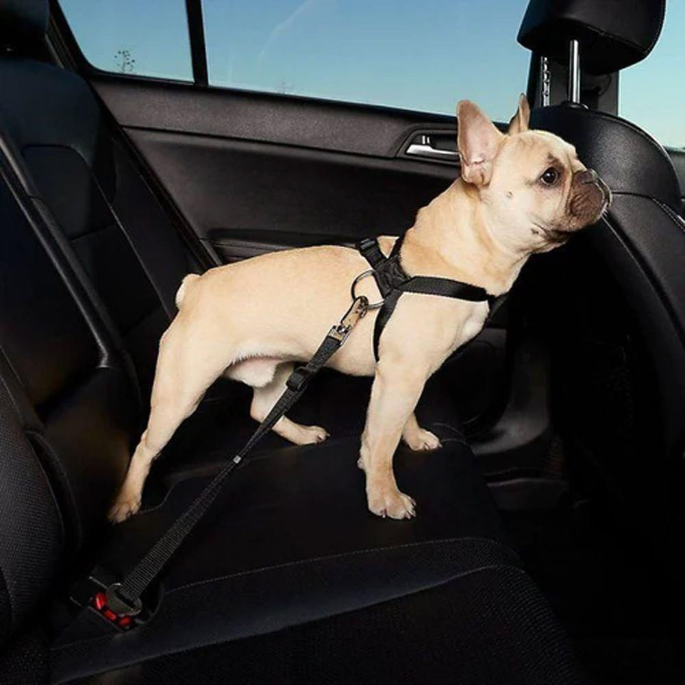 Cinto De Segurança Pet Cachorro Cao Guia Coleira Animal De Estimaçao Viagem Passeio Carro Veiculo Transporte Seguro Pet Shop