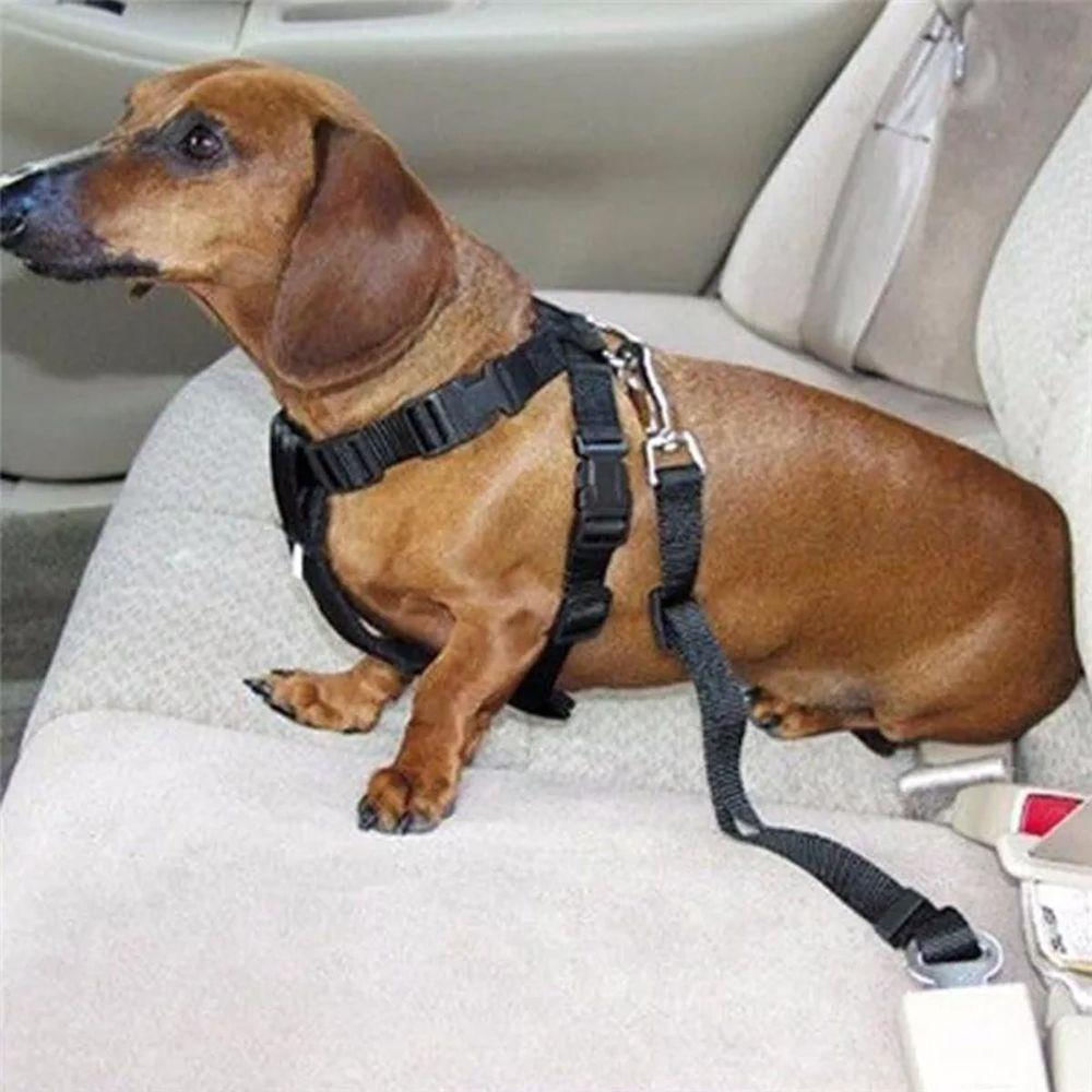 Cinto De Segurança Pet Cao Cachorro Coleira Guia Animal De Estimaçao Carro Veiculo Viagem Passeio Pet Shop Transporte Seguro Resistente