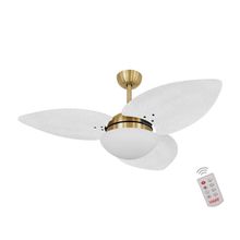 Ventilador De Teto Dormamu Dourado 3 Pás Palmae Branco 110V Com Controle