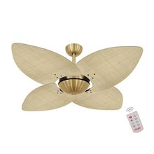 Ventilador De Teto Dormamu Dourado Office 4 Pás Palmae Natural 220V Com Controle