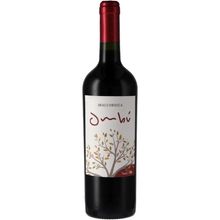 Vinho Tinto Braccobosca Ombu Tannat 750ml