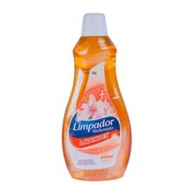 Limpador Perfumado Frescor da Natureza Lavandex 500ml