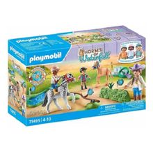 Playmobil Horses Of Waterfall Torneio Treinamento de Poneis – 46 peças