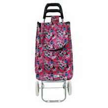 Carrinho de Feira Multiuso 95x45cm Mod13 - Quanhe