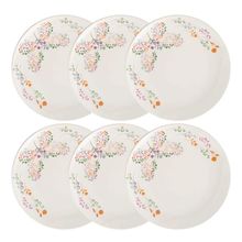 Jogo 6 Pratos Rasos Cerâmica Oxford Unni Jardim Secreto 26 Cm: Afeto