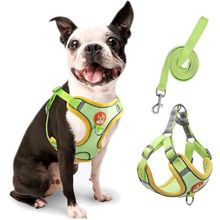 Coleira Peitoral Coleira Para Cachorro Com Guia Para Pet Pequenos E Médios Colete Confortável Cor:verde