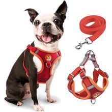 Coleira Peitoral Coleira Para Cachorro Com Guia Para Pet Pequenos E Médios Colete Confortável Cor:vermelho