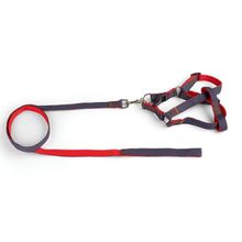 Coleira - Guia Com Peitoral Jeans - P Azul