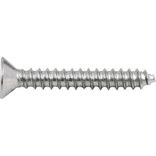 Parafuso Tarraxante Inox 3,5x25,0mm Phillips 10 Pçs Vonder