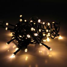 Cordão Com 50 Lampadas De Led Formato Pequena Gota 5 Metros Fio Verde Escuro Cores Branco Quente