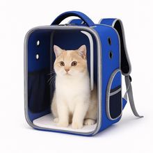 Mochila Transparente Astronauta Pet Cachorro Gato Bolsa Transporte Passeio Viagem Azul