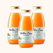 Kit 3X: Suco de Tangerina com Capim Cidreira Sem Açúcar Villa Piva 300ml