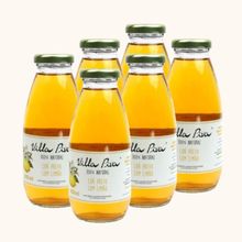 Kit 6X: Chá Preto com Limão Sem Açúcar Villa Piva 300ml