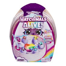 Hatchimals Alive Pack Com 6 Ovos Surpresa E Acessórios Sunny - 4003