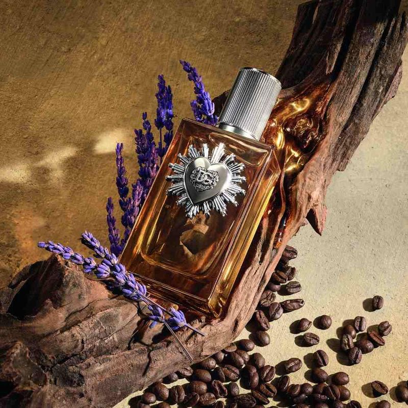 Devotion Pour Homme Dolce&Gabbana Parfum Masculino 100ml - Shop