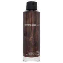 Água De Cheiro Masculina Kenneth Cole Signature 170 Ml