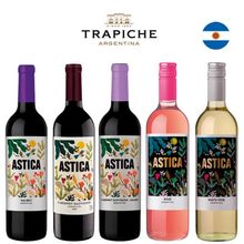 Kit Vinhos Argentinos Astica
