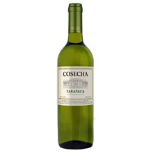 Vinho Cosecha Tarapacá Sauvignon Blanc 750ml