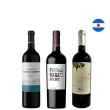 Kit Vinhos Argentinos Trapiche Vinecol Piedra Rara
