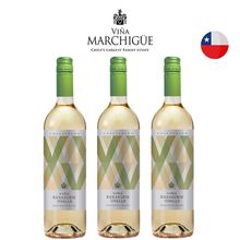 Kit Vinhos Chilenos Errazuriz Ovalle Collection Sauvignon Blanc - 3 garrafas