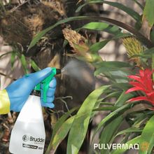 Borrifador Pulverizador De Pressão Manual 500 ML Para Plantas, Horta,  Jardim Brudden