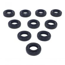 Anel Raspadorador 12 X 20 X 4/6 - Kit 10 Peças Karcher