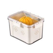 Caixa Organizador Tampa Hermética com Travas 23,5x14x16,5cm