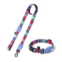 Coleira Ajustável E Guia Para Cães Raios E Listras Violeta - M