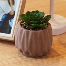 Cachepot com Suculenta Artificial Geometry 9cm x 10,5cm Marr