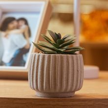 Cachepot com Suculenta Artificial Geometry 8cm x 9,5cm Bege
